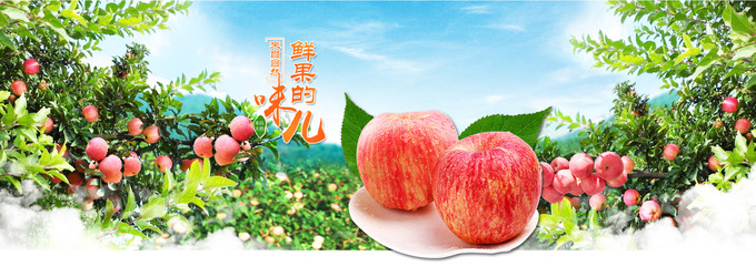 順農果品現(xiàn)代農業(yè)園區(qū) 探索果品產業(yè)的科技與創(chuàng)新之路