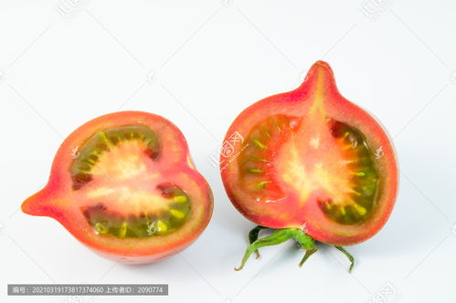 鐵皮西紅柿 舌尖上的果品珍饈與攝影最佳主角
